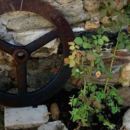 Antica Casa Nel Borgo * Pietrasanta